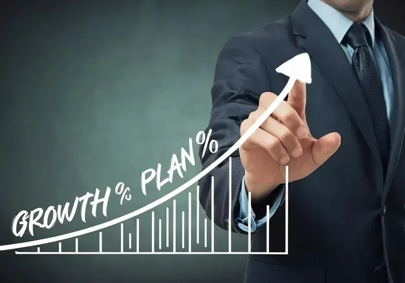 Business Growth Strategy